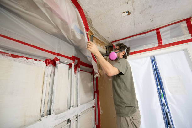 Best Emergency Mold Remediation  in Hartford, CT