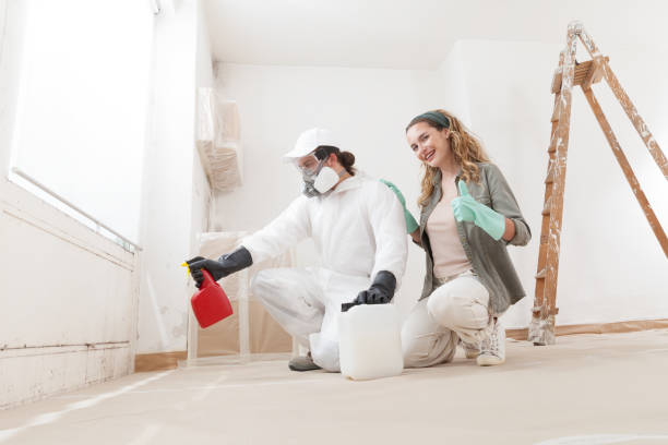 Best Comprehensive Air Testing for Mold Contaminants  in Hartford, CT