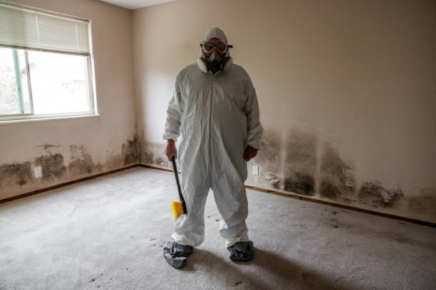 Best Commercial Mold Inspection  in Hartford, CT